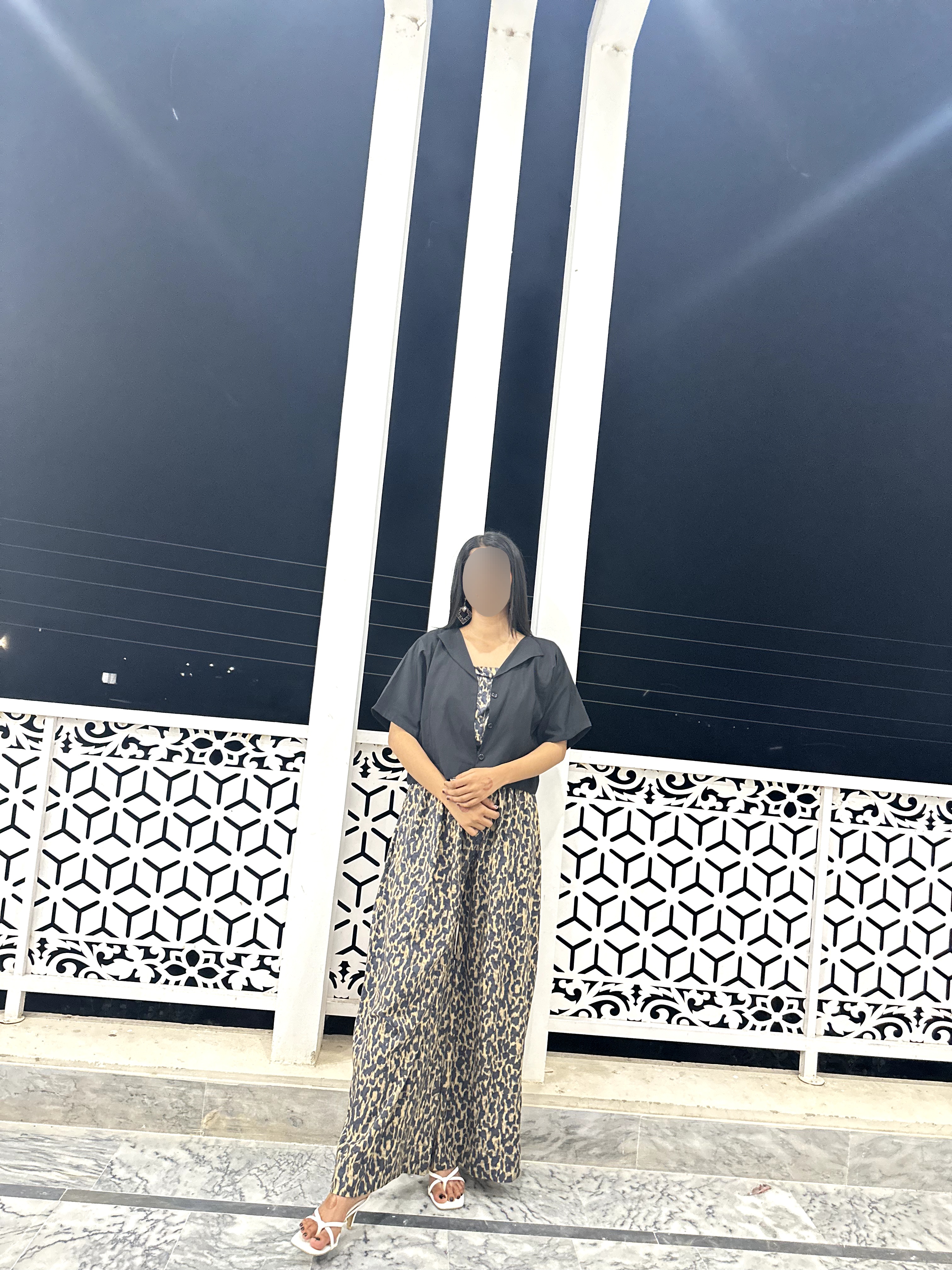 Midnight Safari - Image 3